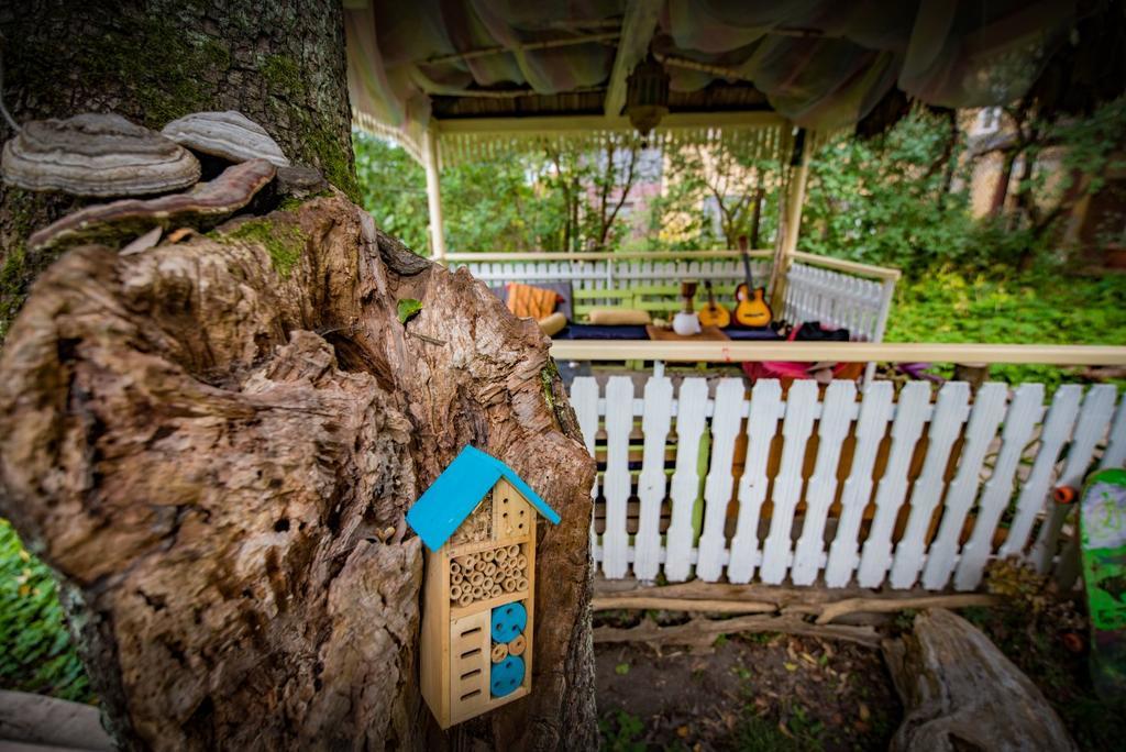Mountain Tale Hostel Brasov Ngoại thất bức ảnh