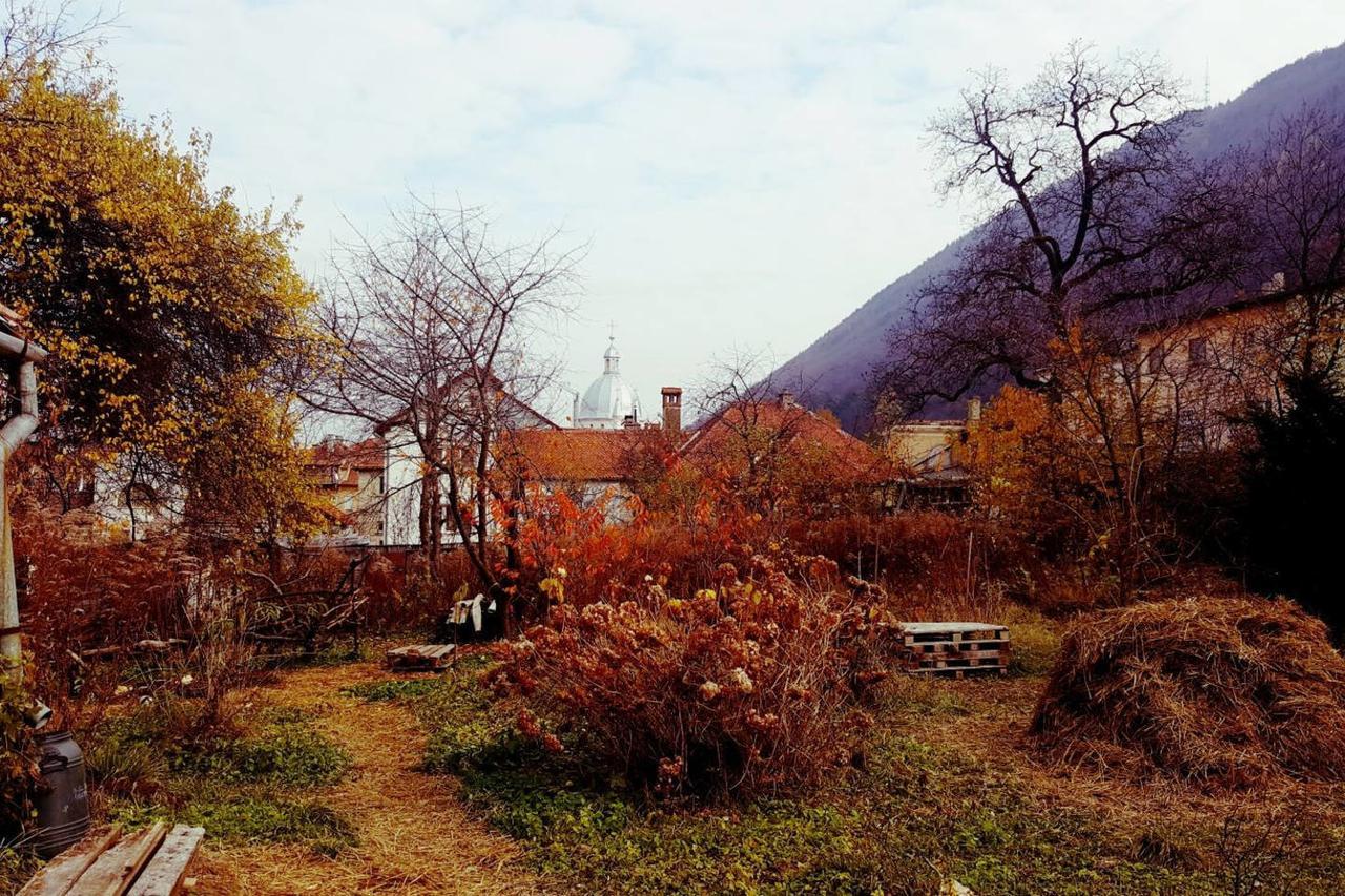 Mountain Tale Hostel Brasov Ngoại thất bức ảnh