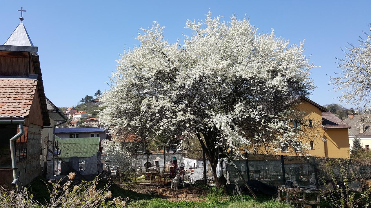 Mountain Tale Hostel Brasov Ngoại thất bức ảnh