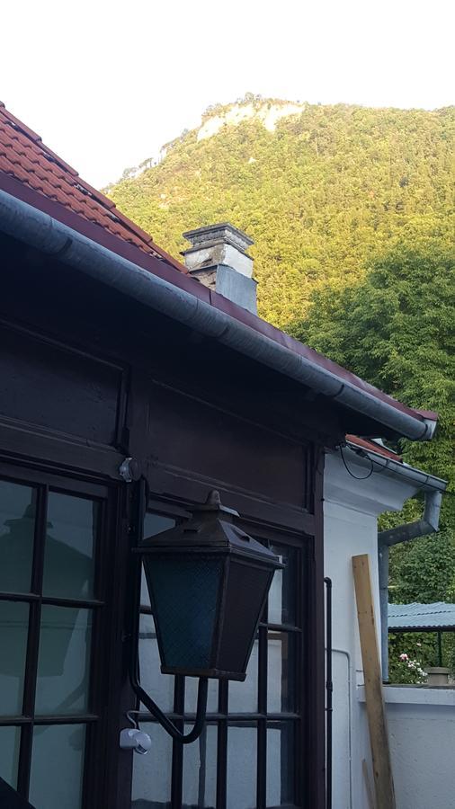 Mountain Tale Hostel Brasov Ngoại thất bức ảnh