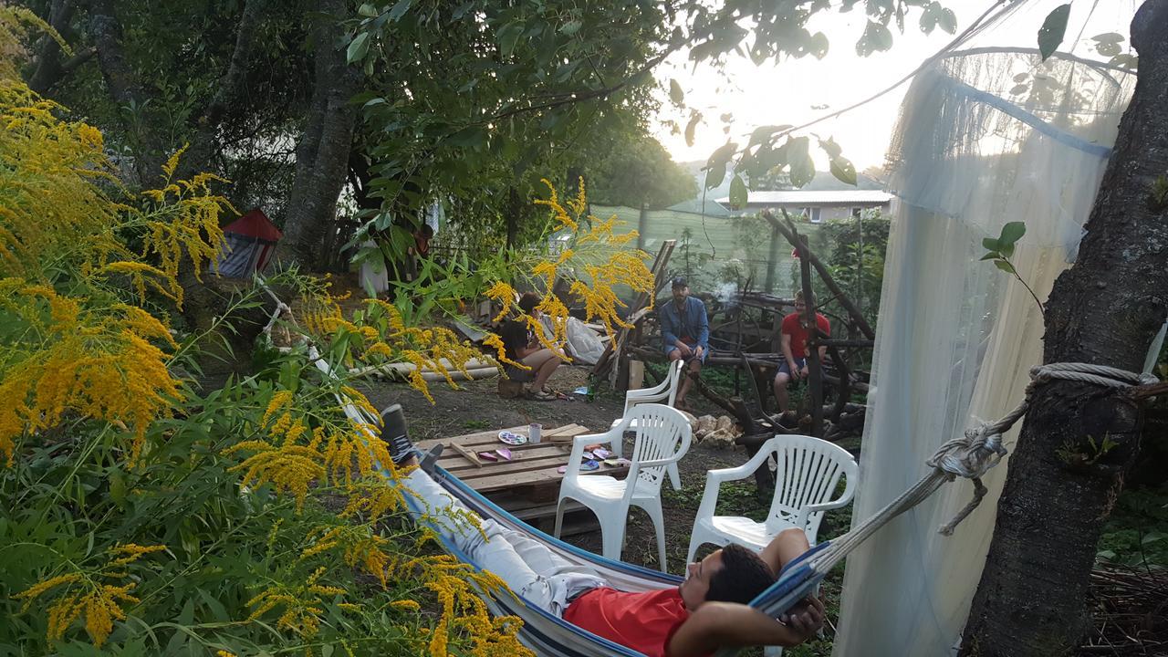 Mountain Tale Hostel Brasov Ngoại thất bức ảnh