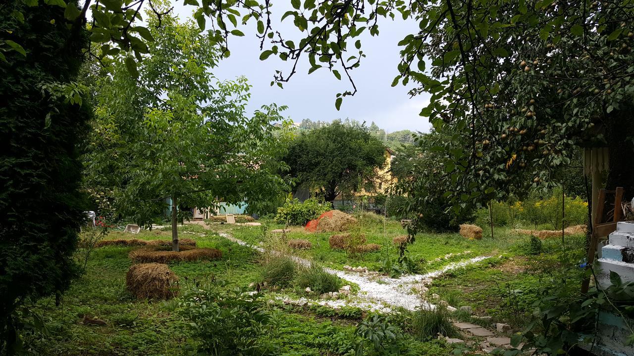 Mountain Tale Hostel Brasov Ngoại thất bức ảnh
