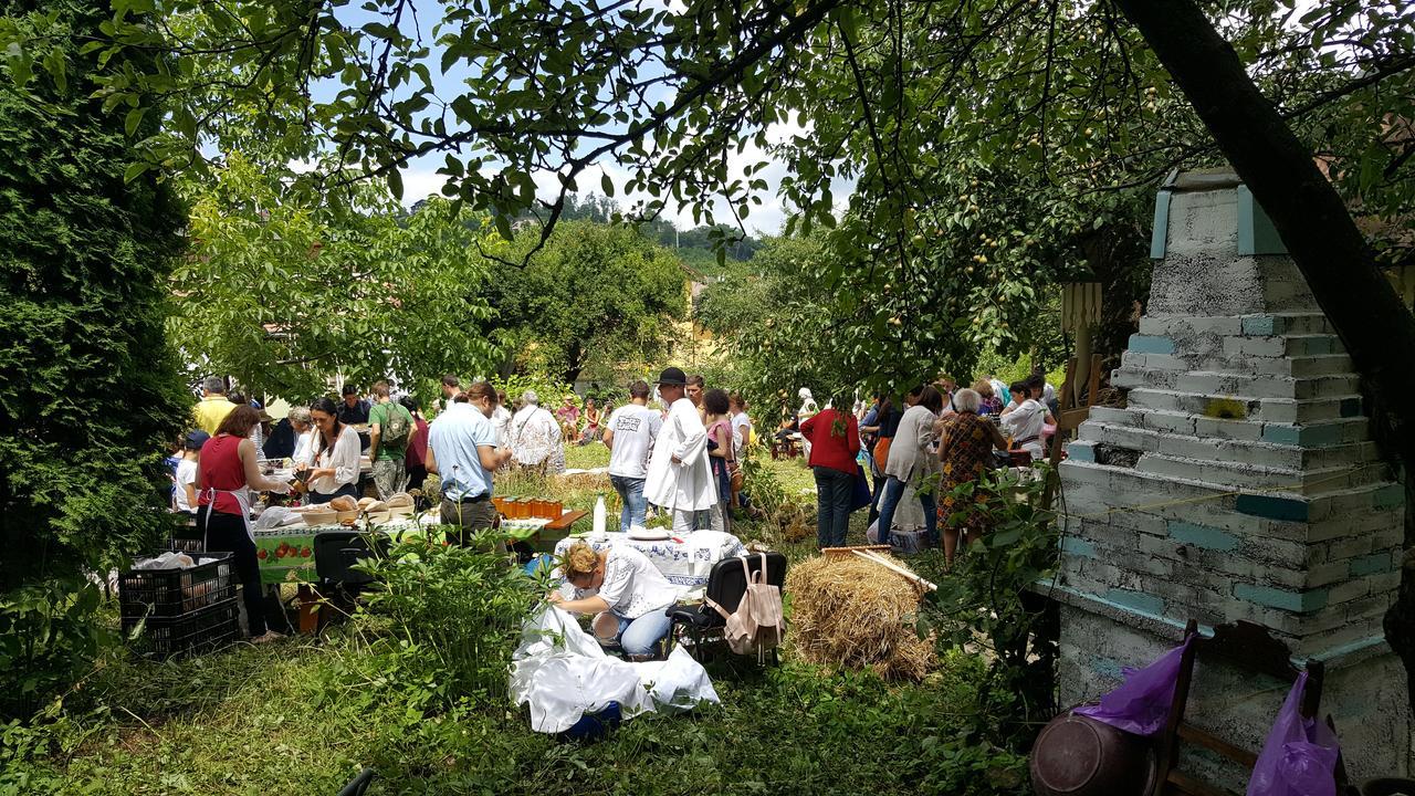 Mountain Tale Hostel Brasov Ngoại thất bức ảnh