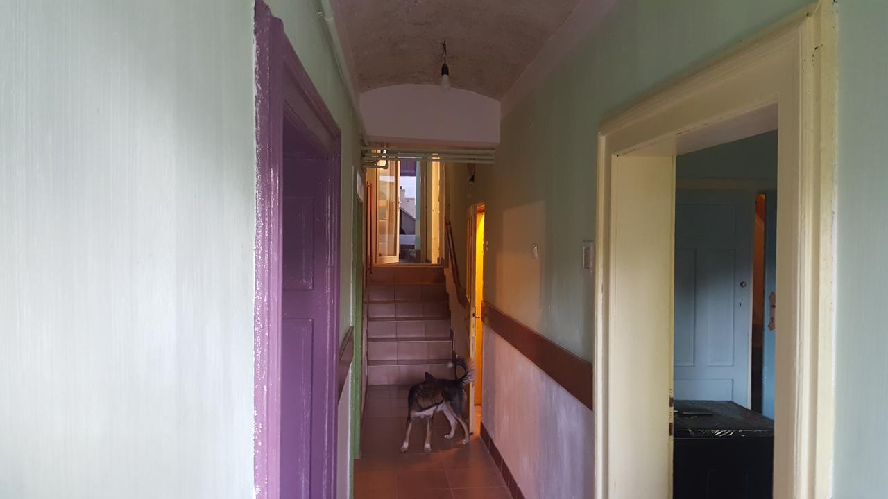 Mountain Tale Hostel Brasov Ngoại thất bức ảnh