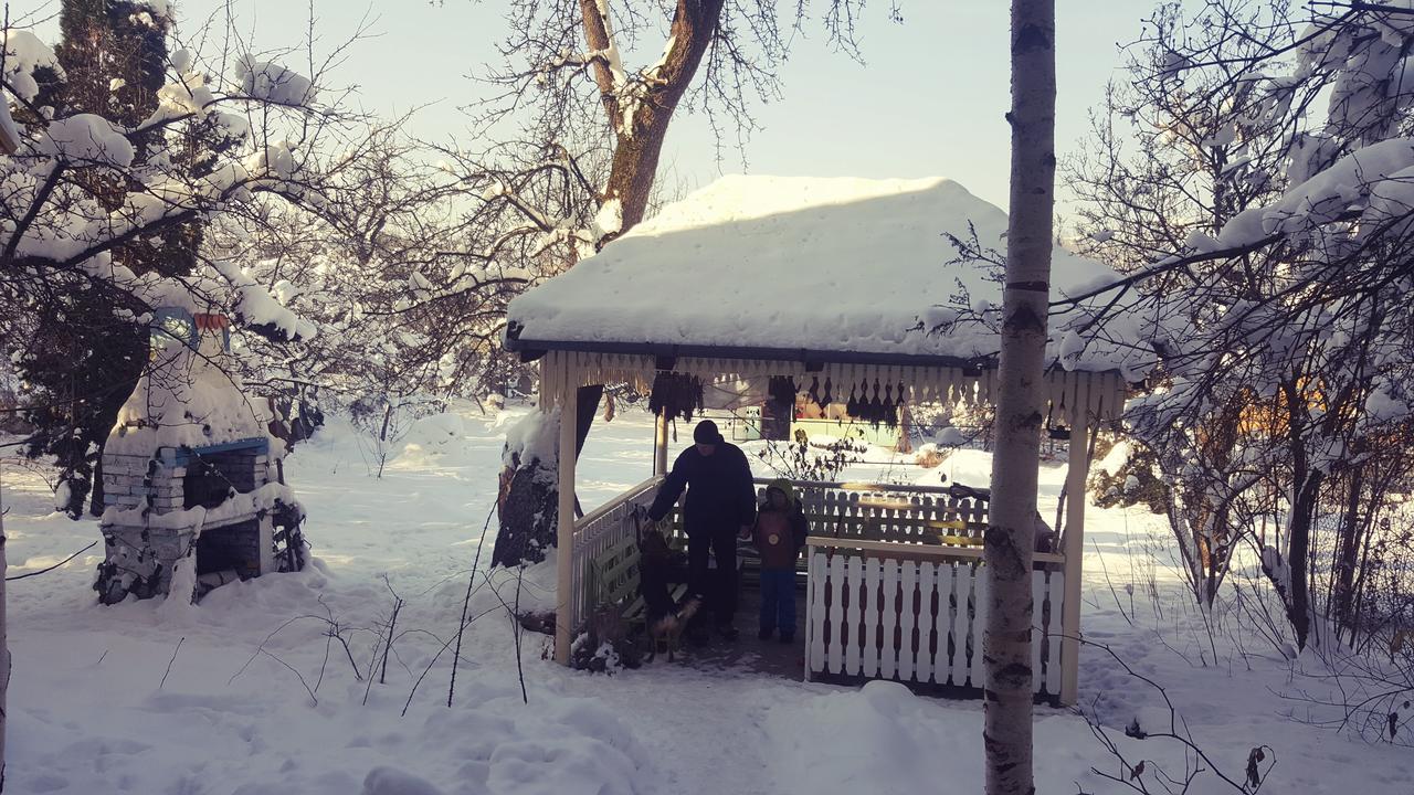 Mountain Tale Hostel Brasov Ngoại thất bức ảnh