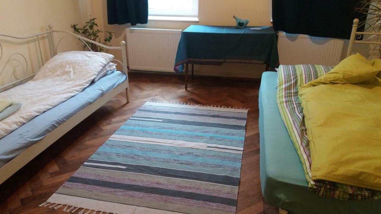 Mountain Tale Hostel Brasov Ngoại thất bức ảnh
