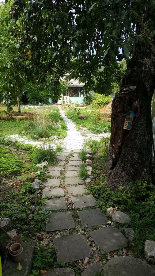 Mountain Tale Hostel Brasov Ngoại thất bức ảnh