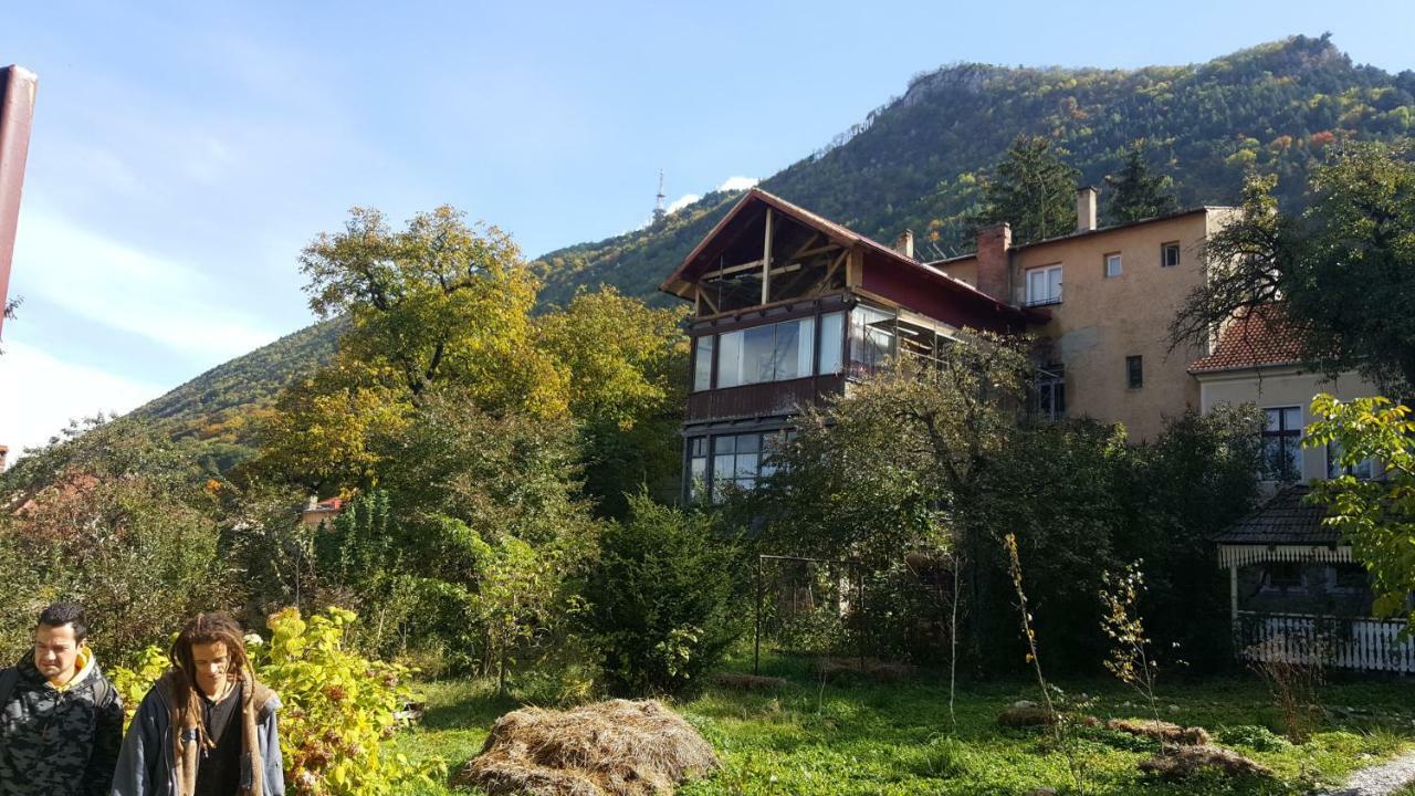 Mountain Tale Hostel Brasov Ngoại thất bức ảnh