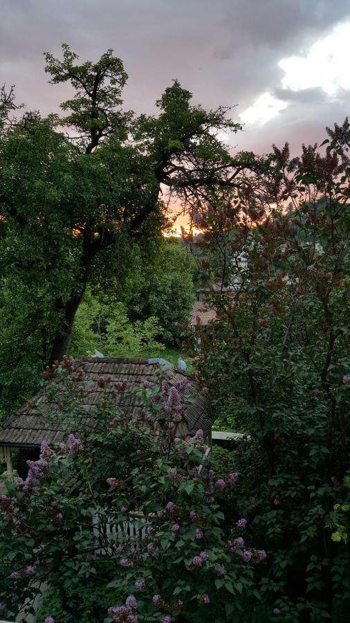 Mountain Tale Hostel Brasov Ngoại thất bức ảnh