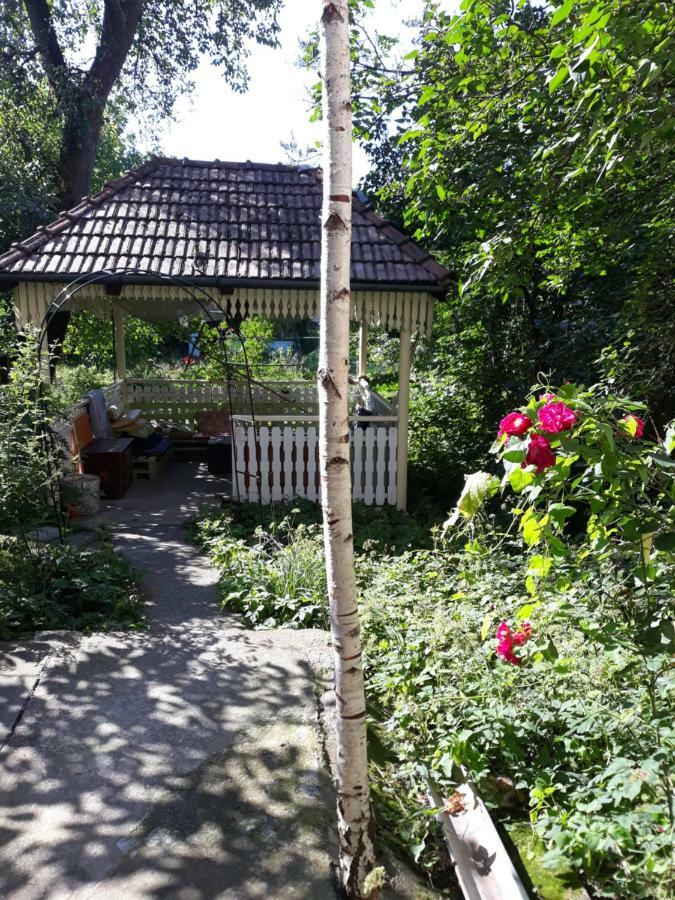 Mountain Tale Hostel Brasov Ngoại thất bức ảnh